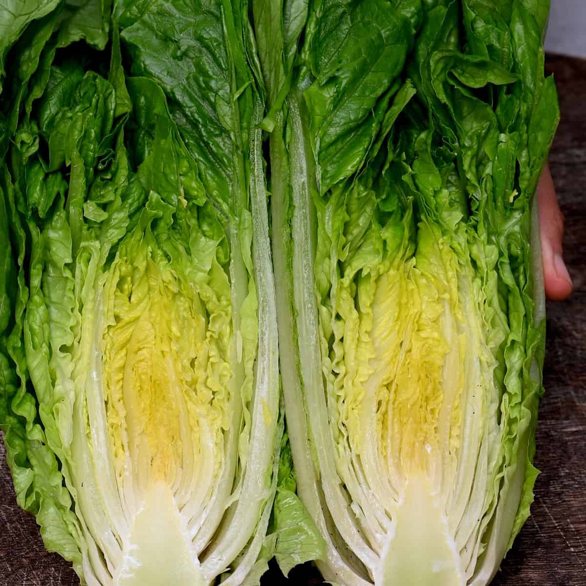 The Ultimate Romaine Guide: Prep, Store, & Keep It Crisp